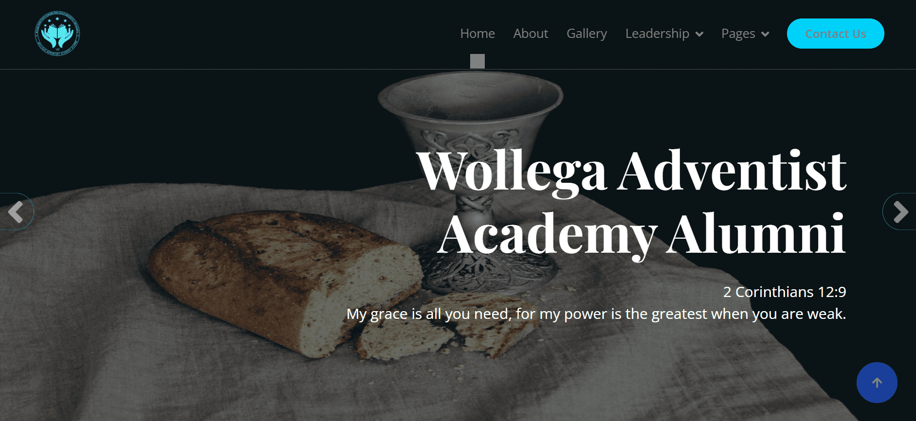 Aluminia Alumni Website Screenshot